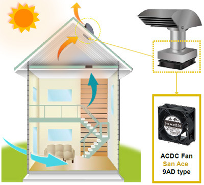 acdc_fan_at_home.jpg